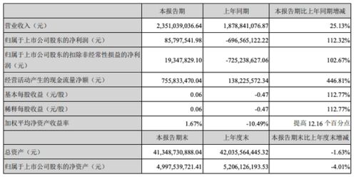 聚焦半年报 天齐锂业净利润8579万元,同比增加112
